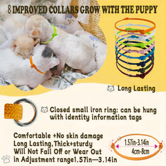 JounLoin whelping collars in bright colors for identification