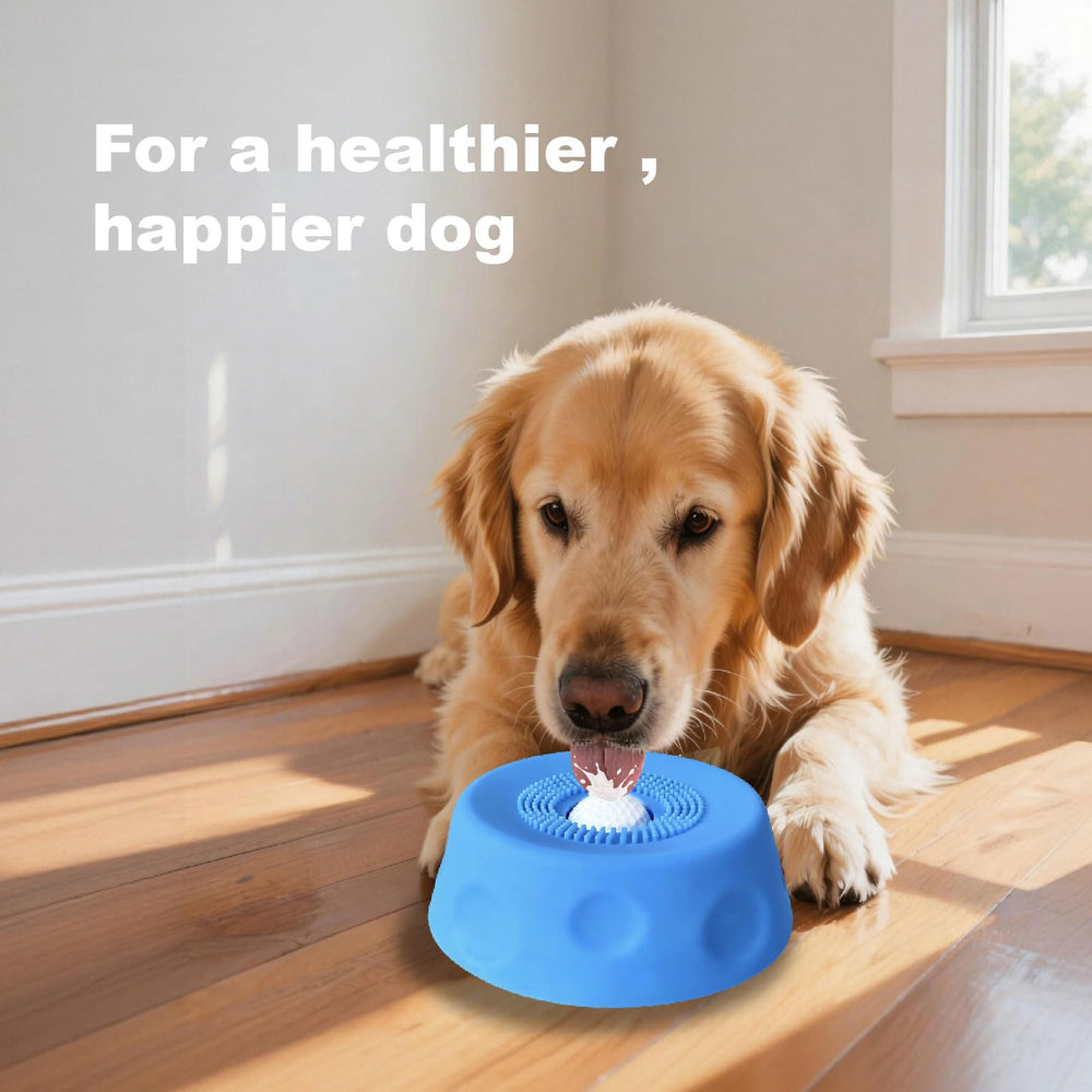 Jovoria dishwasher-safe feeder for convenient daily cleaning.