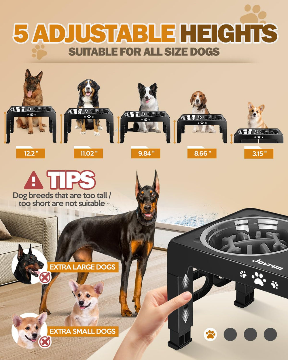 Jovrun height-adjustable stand showing five levels for growing dogs