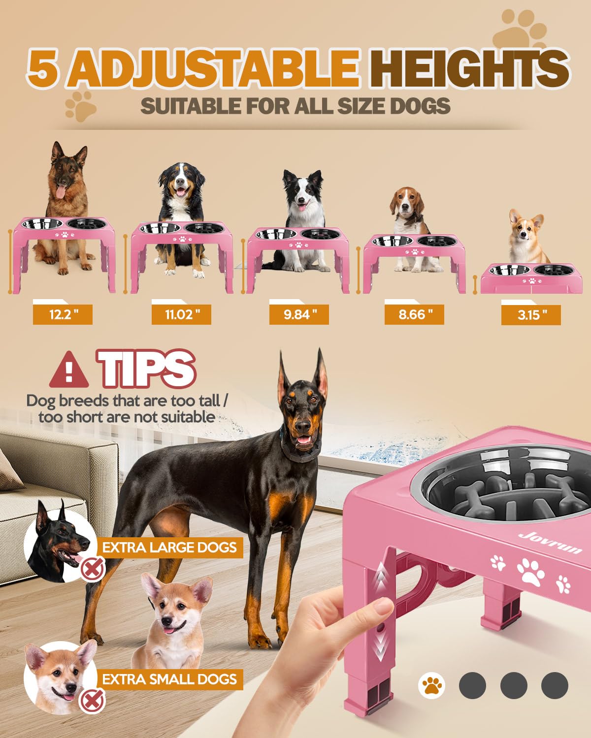 Jovrun stainless steel dish provides durable, easy-to-clean feeding surface.