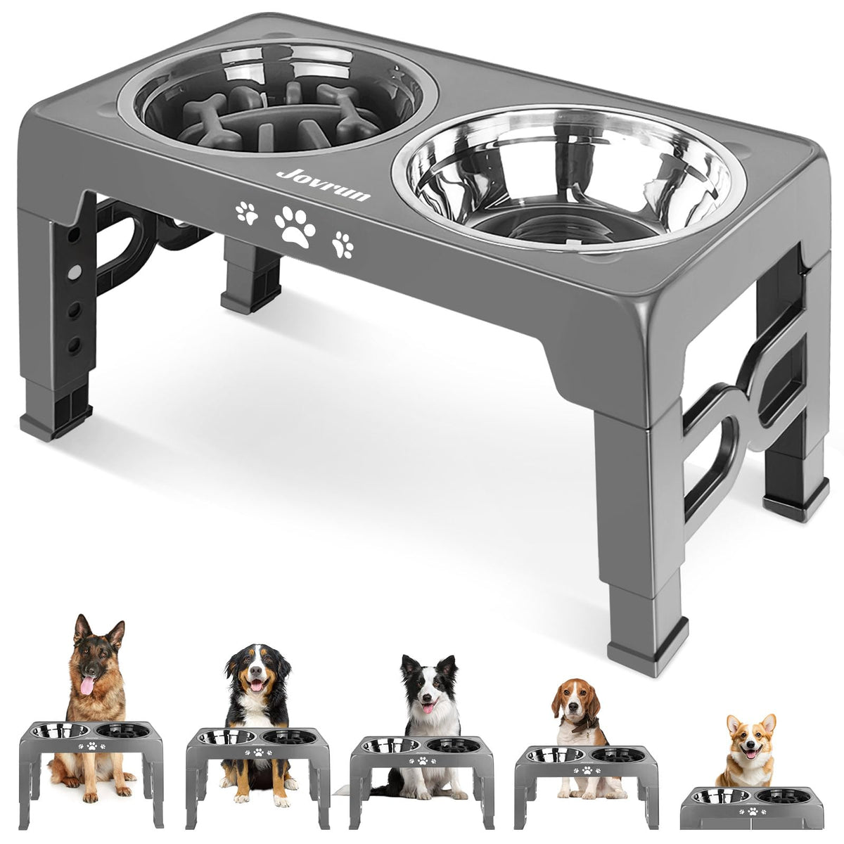 Jovrun elevated stand enabling comfortable dining height for dogs