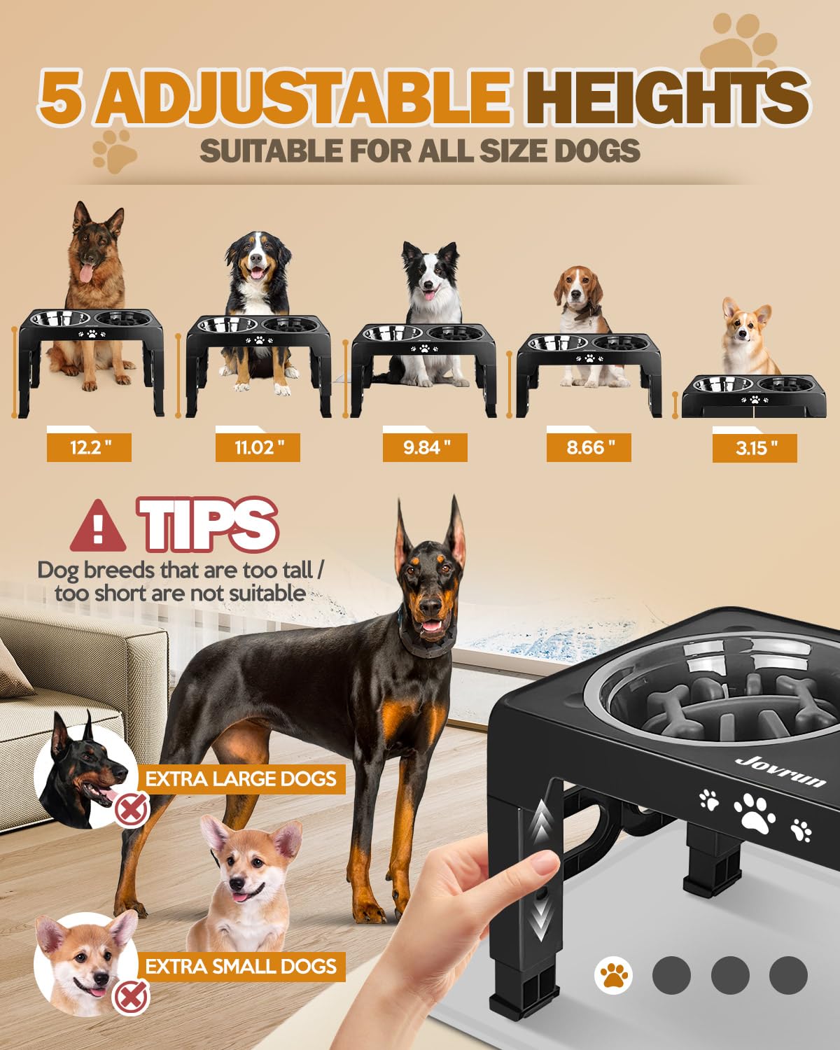 Jovrun five-height adjustable raised bowls illustrating height range for growing dogs