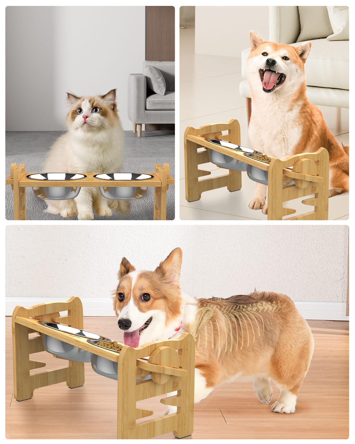 Jovrun two-bowls-set provides convenient meal and water options for pets.