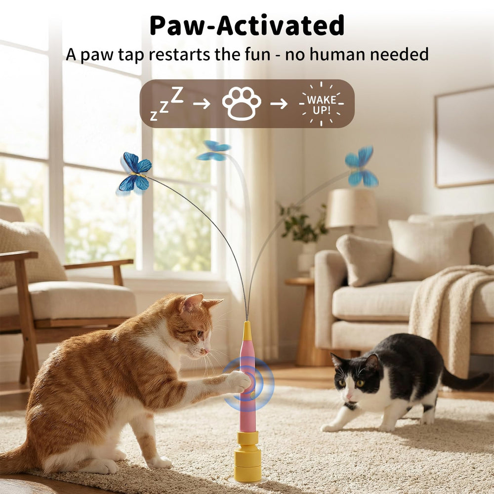 JoyBruko rechargeable-cat-toy-quiet-motor keeps evenings calm.