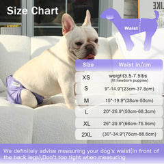 JoyDaog absorption-core diaper keeps moisture under control.