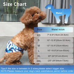 JoyDaog belly band with absorbent core helps keep your dog dry and mess-free.