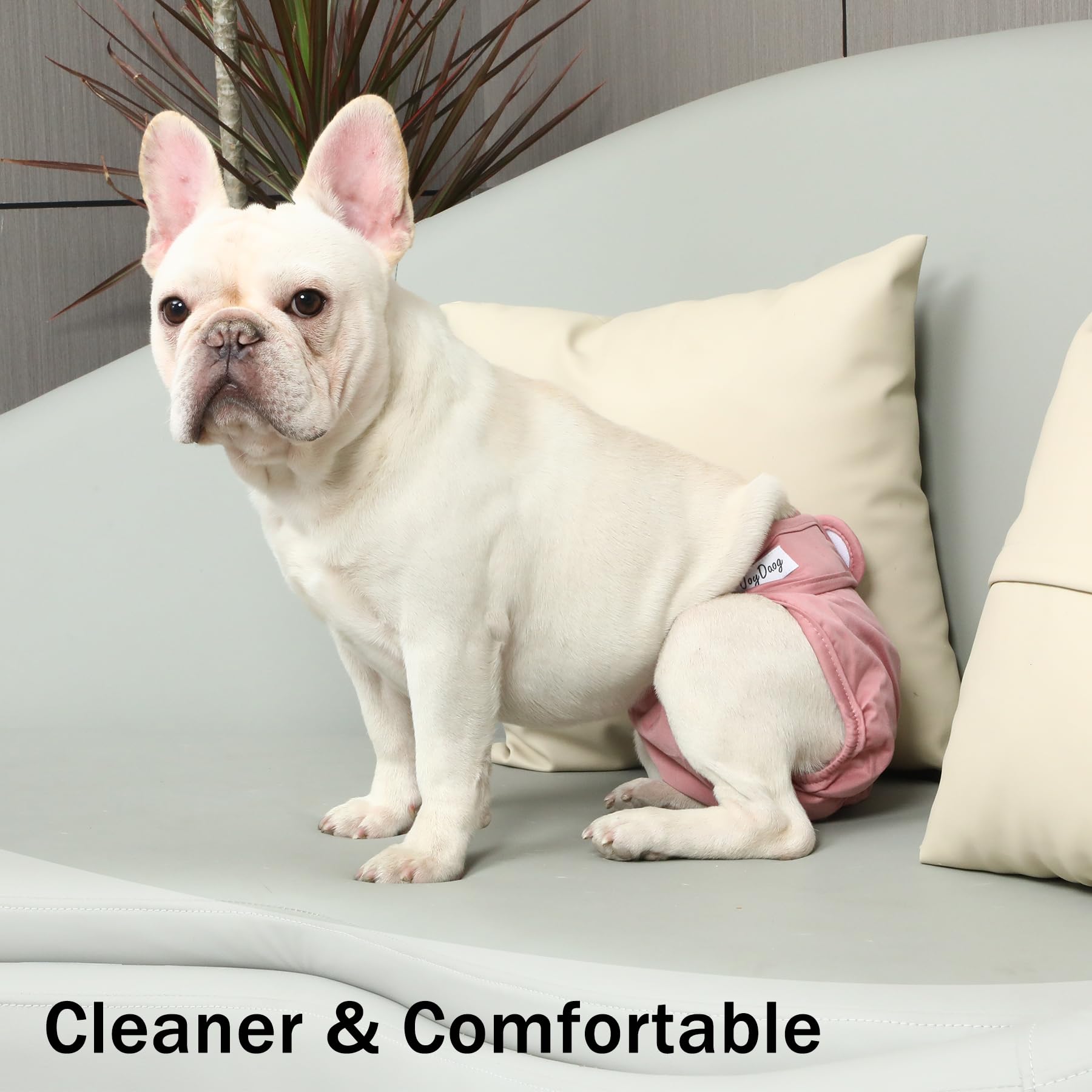 JoyDaog four fashion colors add style to diaper wear.
