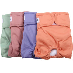 JoyDaog medium front view diaper delivers secure fit and leak protection