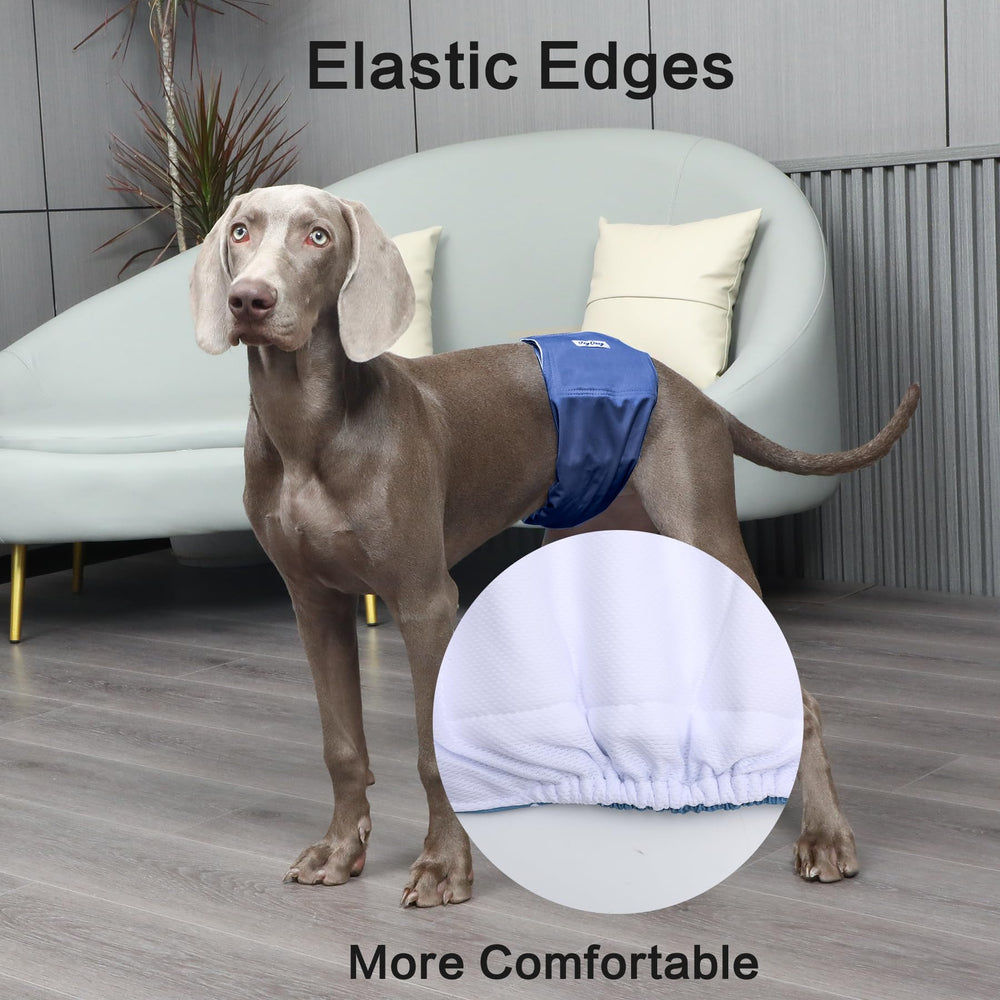 JoyDaog soft breathable mesh lining keeps skin comfortable