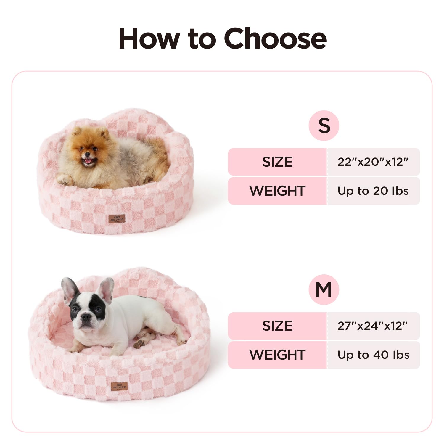 Joydeco compact-22x20 bed fits small dogs and kittens comfortably.