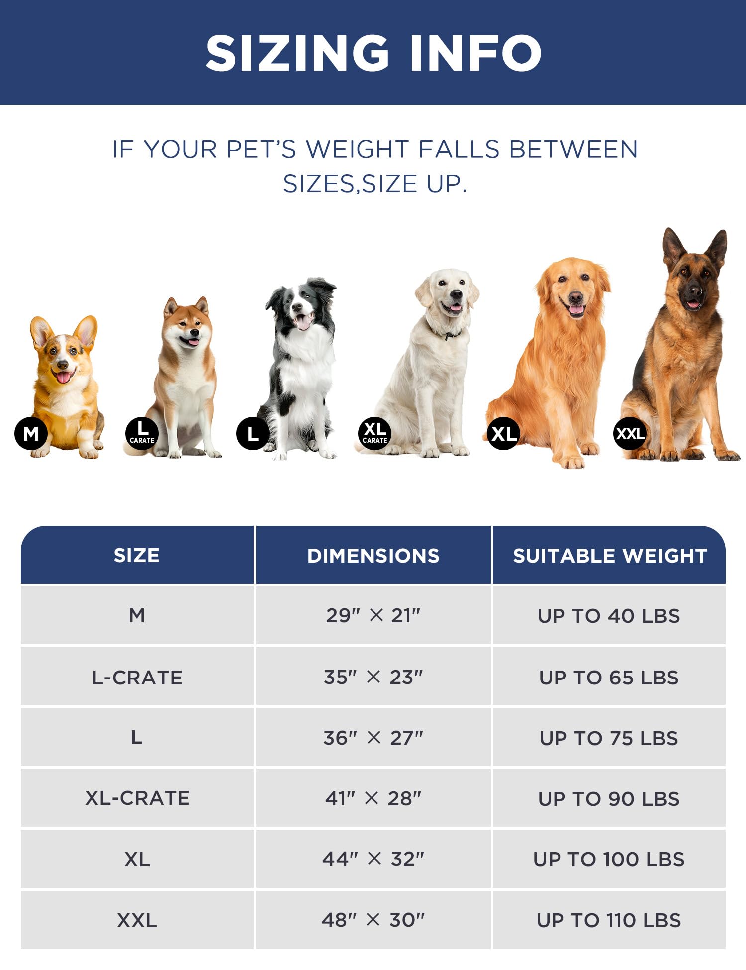 Joydeco XXL 48x30 inch size for larger dogs up to 110 pounds.