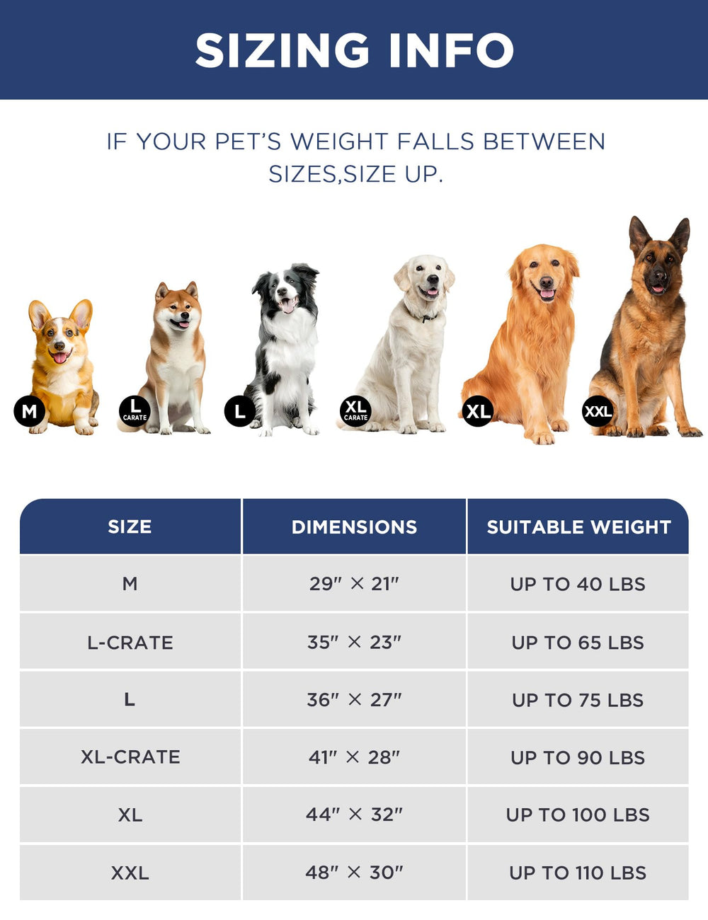 Joydeco XXL 48x30 inch size for larger dogs up to 110 pounds.
