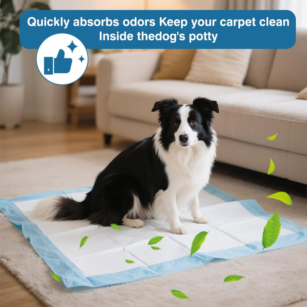 Joyeux Daily XXL dog pee pad indoor-outdoor use illustrates versatile training and travel utility.