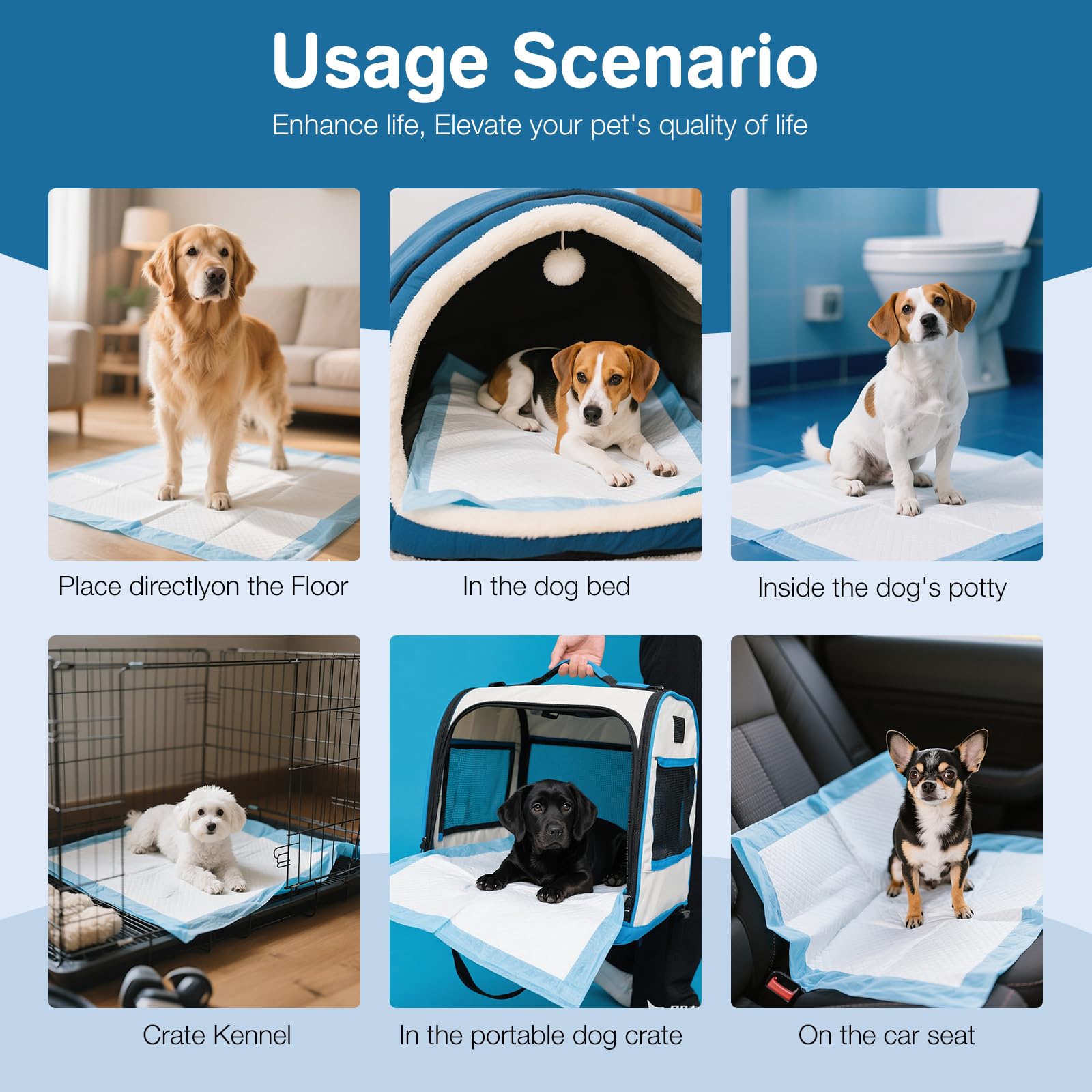 Joyeux Daily XXL dog pee pad packaging and count displays convenient 40-pack value.
