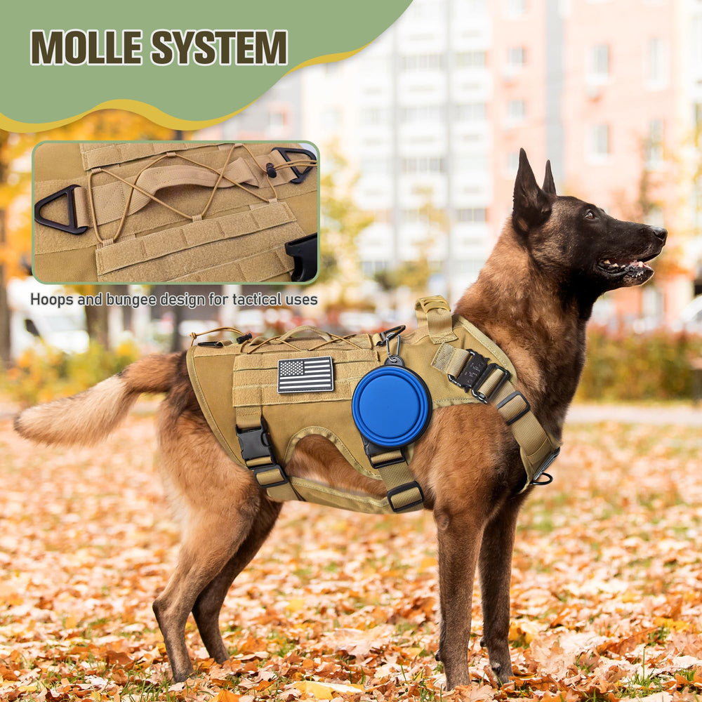 Joyflare Shock-absorbing Bungee Leash for smoother, safer walks