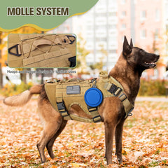 Joyflare Shock-absorbing Bungee Leash for smoother, safer walks