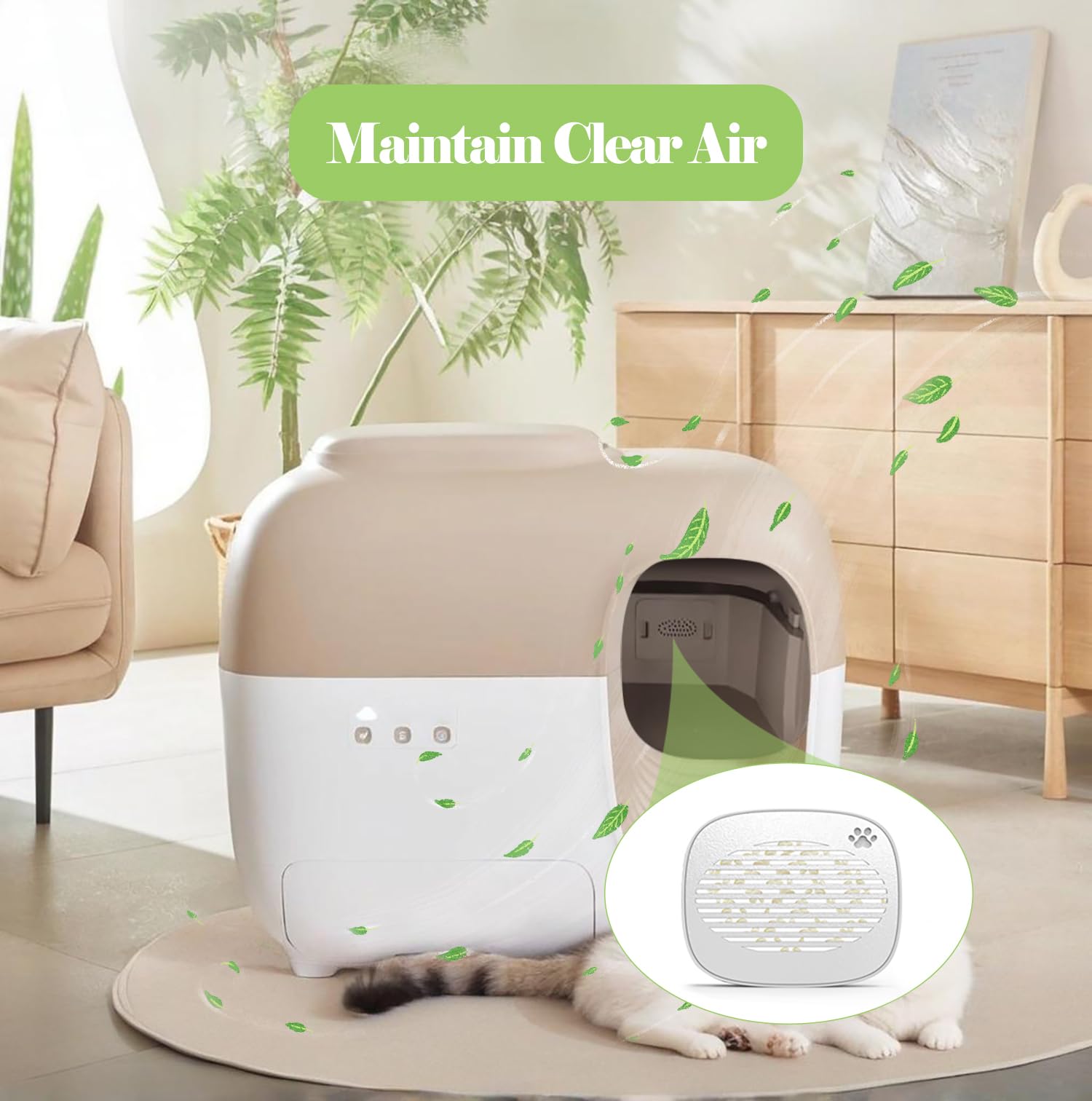 Joymiuz Pomelo scent with fresh grass and grapefruit for refreshing air