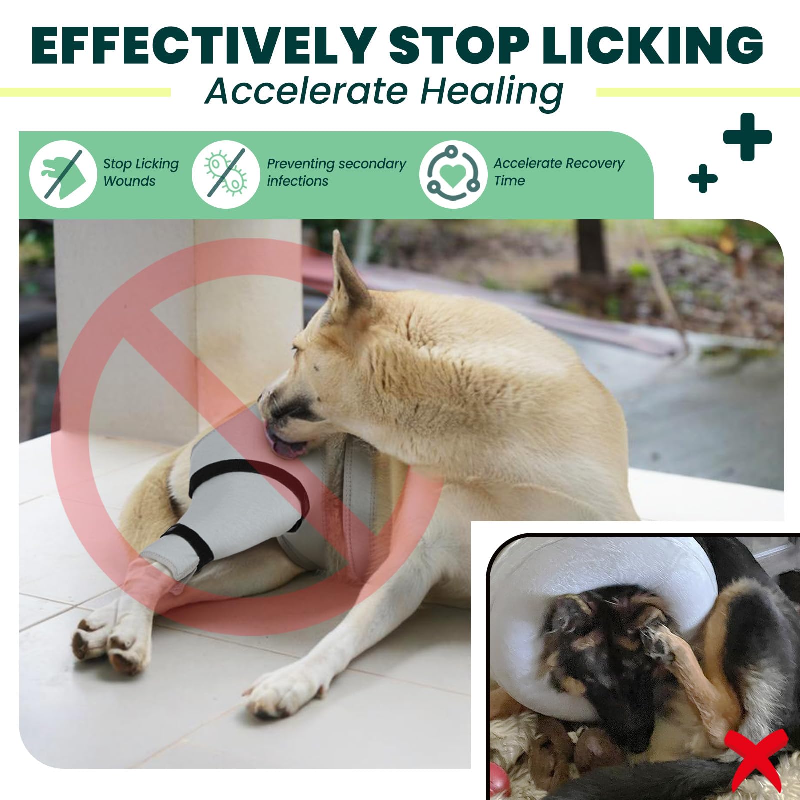 Joypig ACL recovery hind leg cover keeps wounds clean and dry