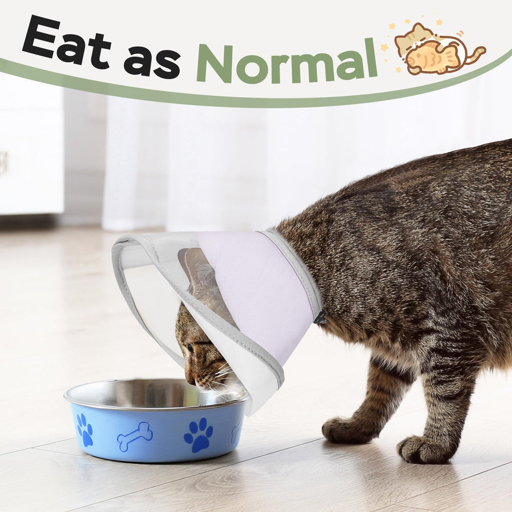 Joypig Cat Cone Soft anti-lick design shown on a cat post-surgery.