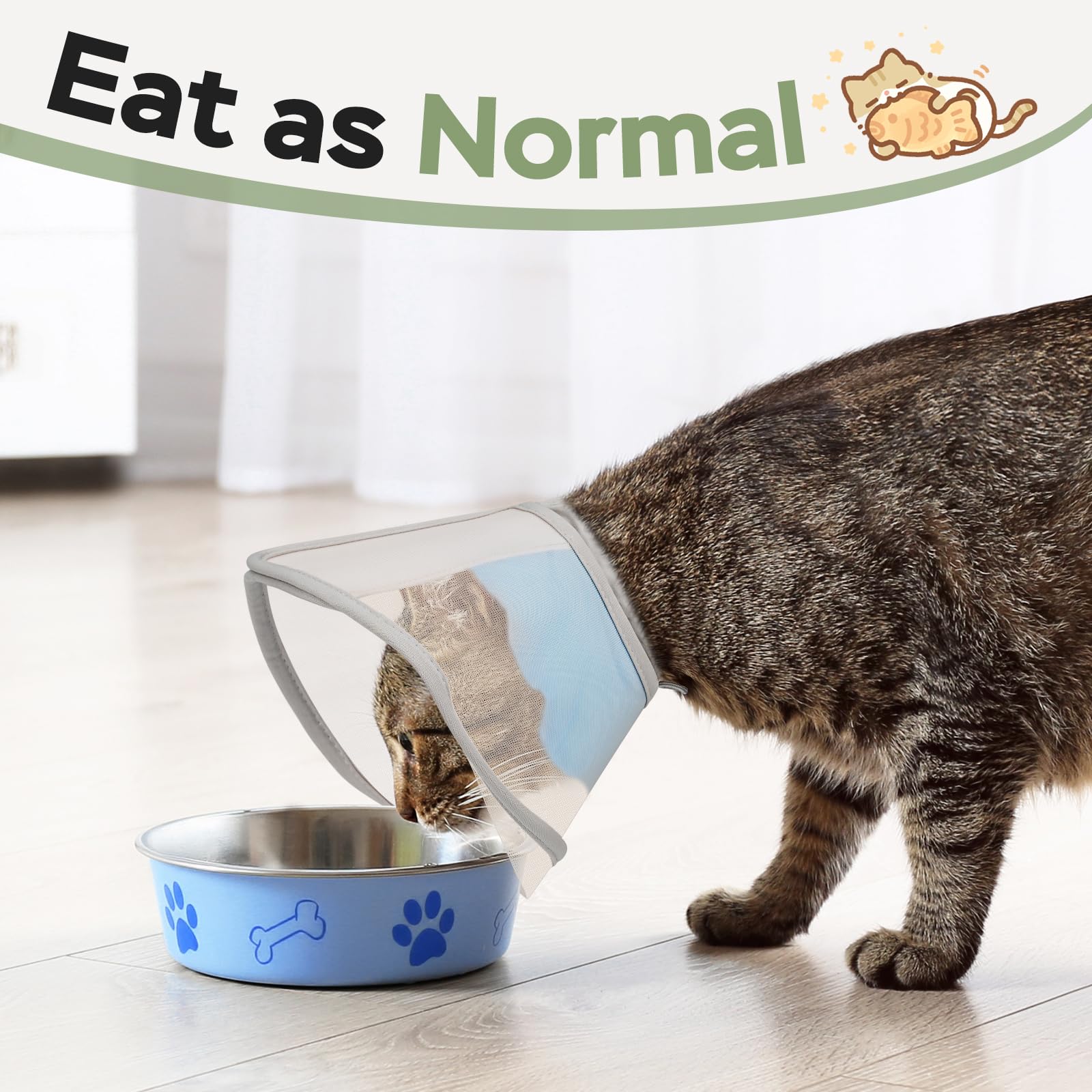 Joypig cat cone soft lightweight padding adds comfort during recovery.