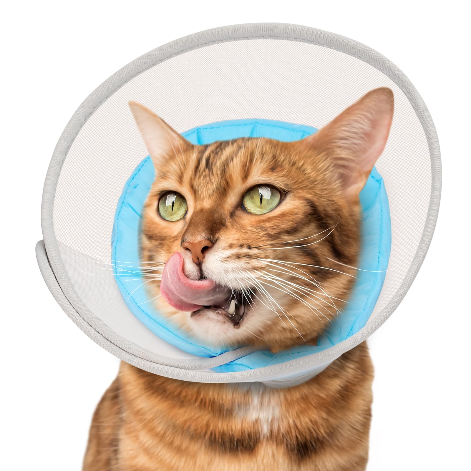 Joypig cat cone soft mesh guard helps prevent licking after surgery.