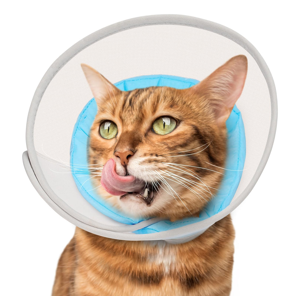 Joypig cat cone soft mesh guard helps prevent licking after surgery.