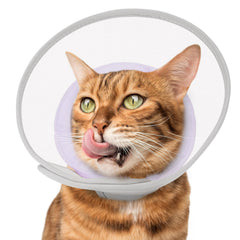 Joypig Cat Cone Soft with waterproof mesh protecting the neck during recovery.