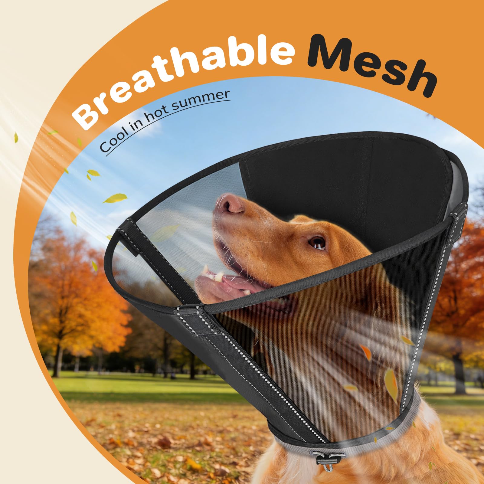 Joypig dog cone in use protects wounds while promoting comfortable rest.