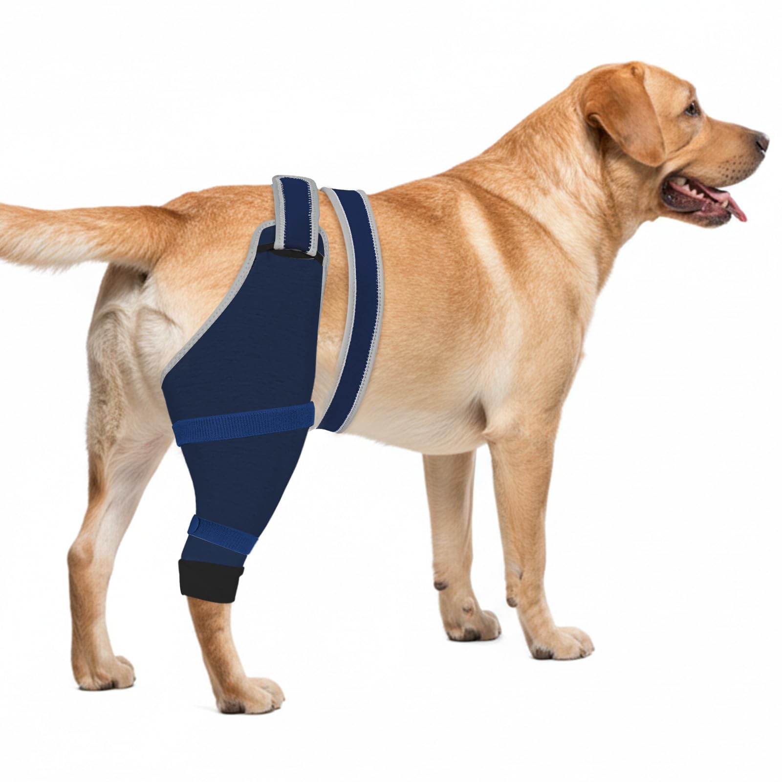 Joypig rear leg sleeve left coverage protects the hind leg while allowing comfortable movement