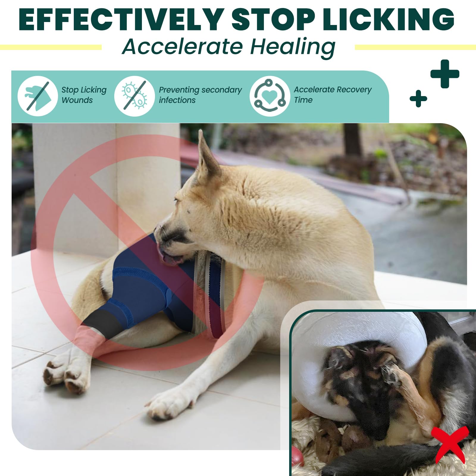 Joypig rear leg sleeve waist strap securing placement during walks.