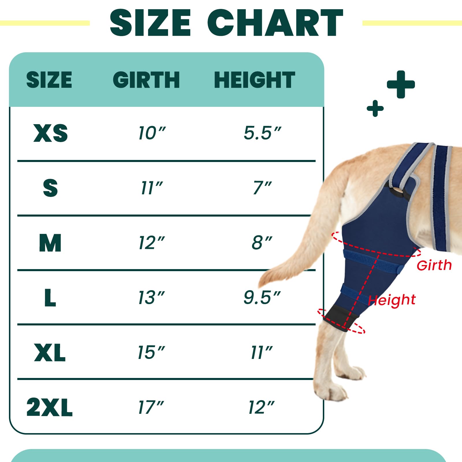 Joypig left-size setup guides proper alignment for left hind leg