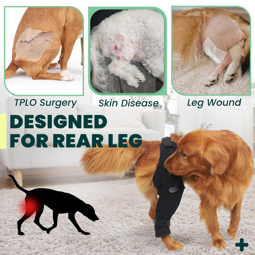 Joypig stop-licking hind leg sleeve protects wounds and incisions