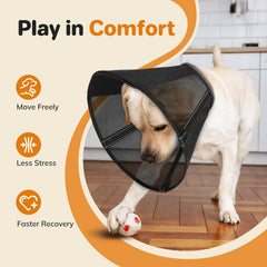 Joypig vision-friendly mesh lets dogs see surroundings, reducing anxiety during recovery.