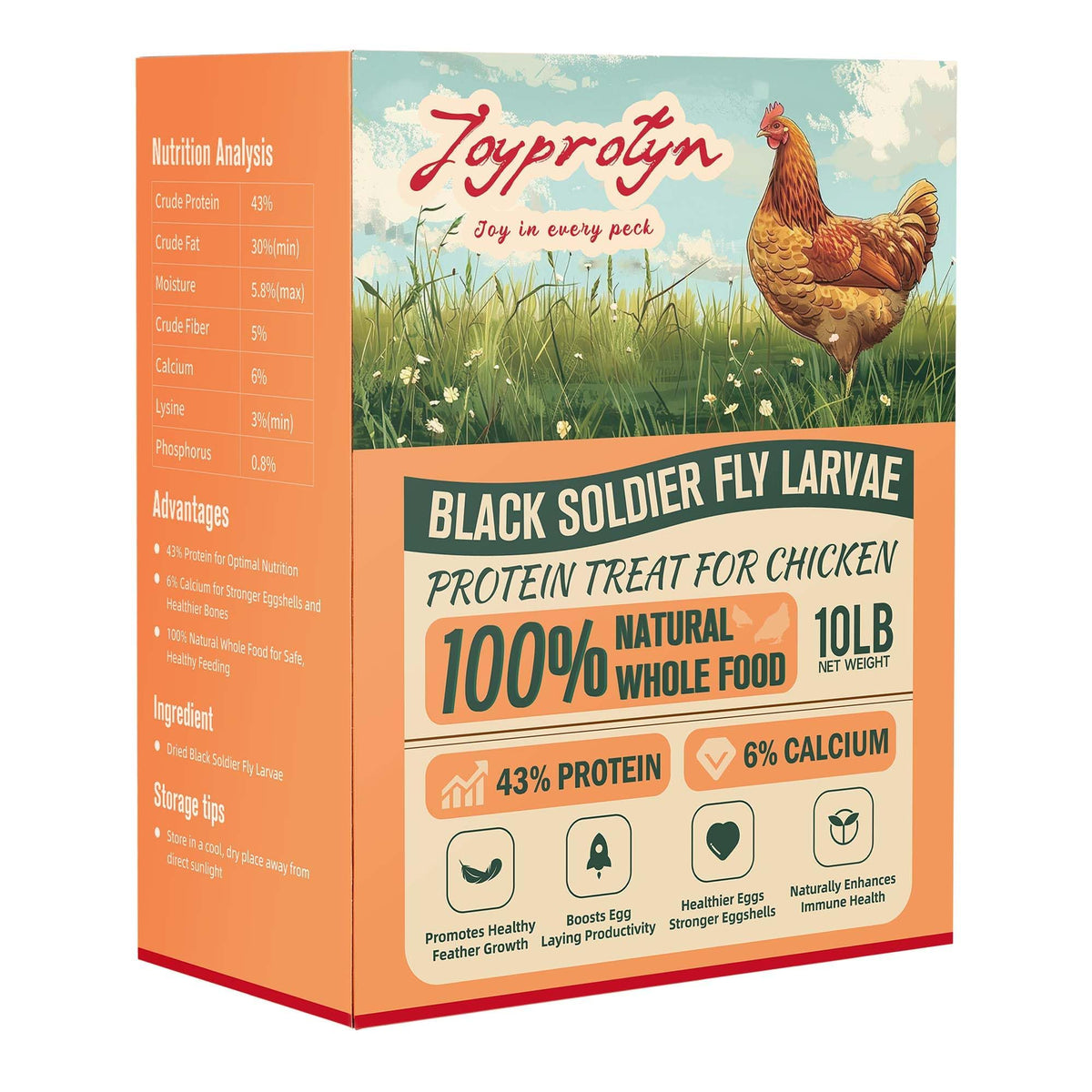 Joyprotyn BSFL high-calcium content supports stronger eggshells in chickens.