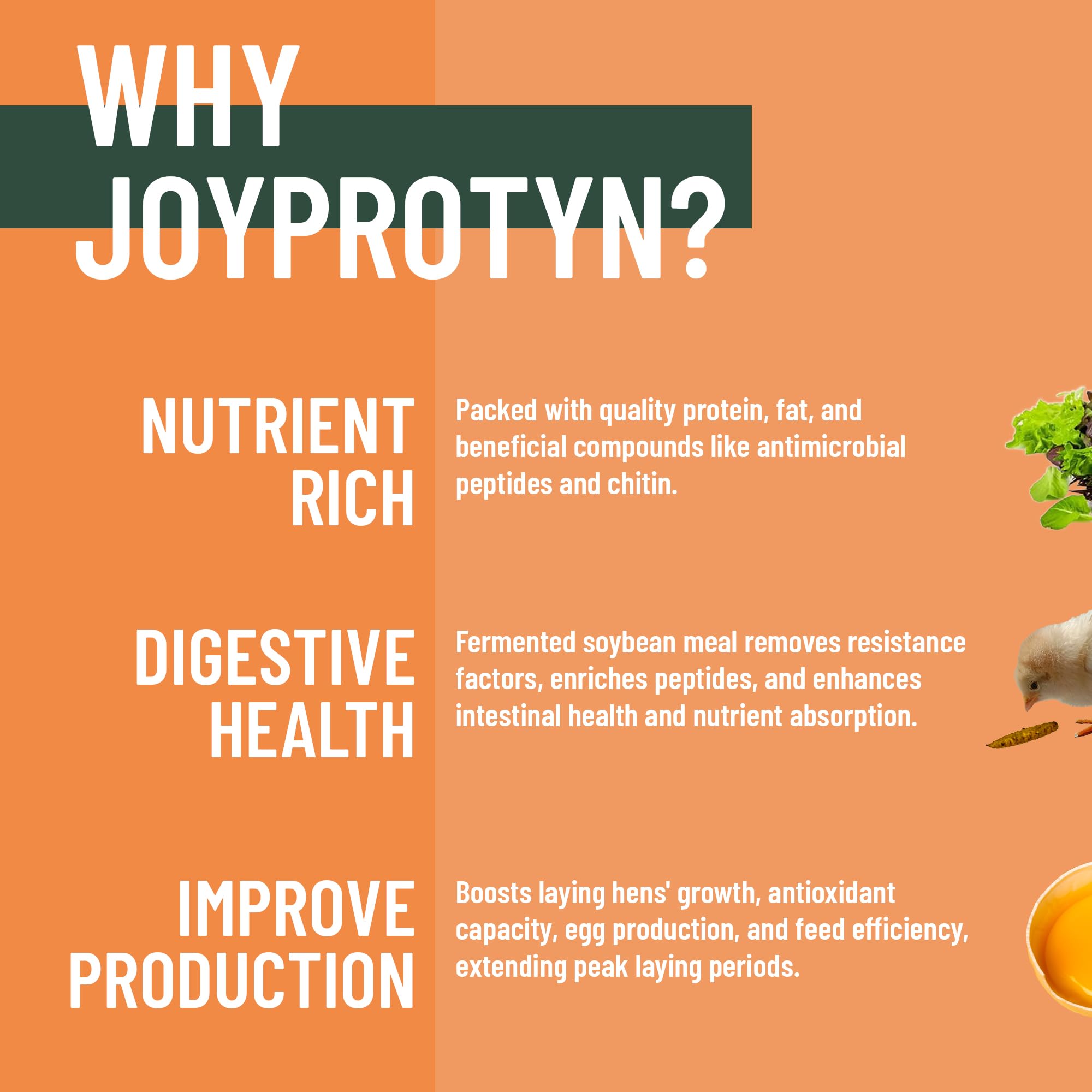 Joyprotyn BSFL contains 43% protein for healthy growth and plumage.