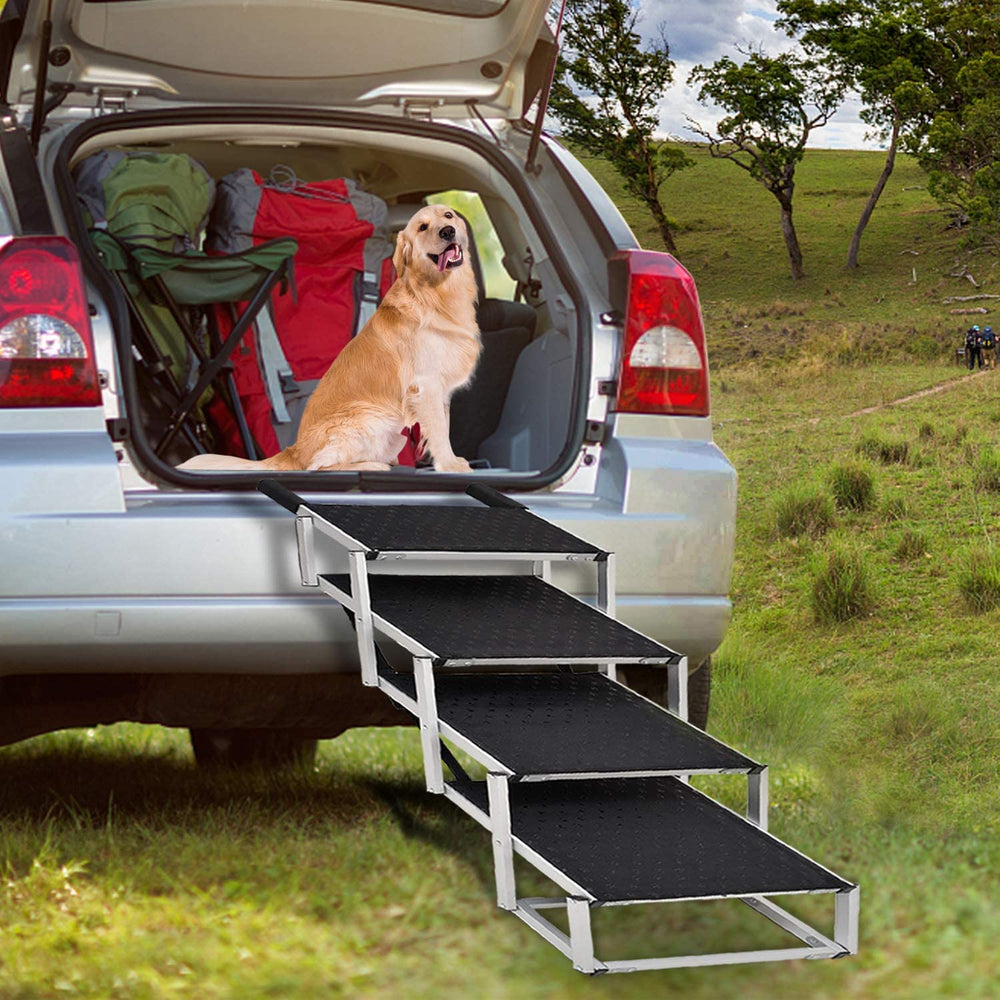 Joyrally supports up to 200 lbs for confident climbs