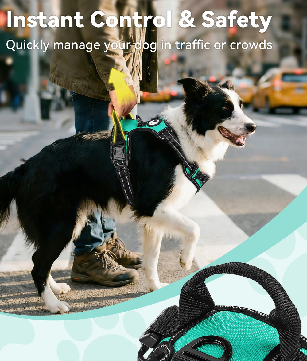Joytale Adjustable straps provide a snug fit for growing large dogs