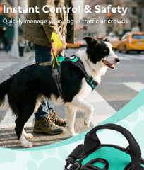 Joytale Adjustable straps provide a snug fit for growing large dogs