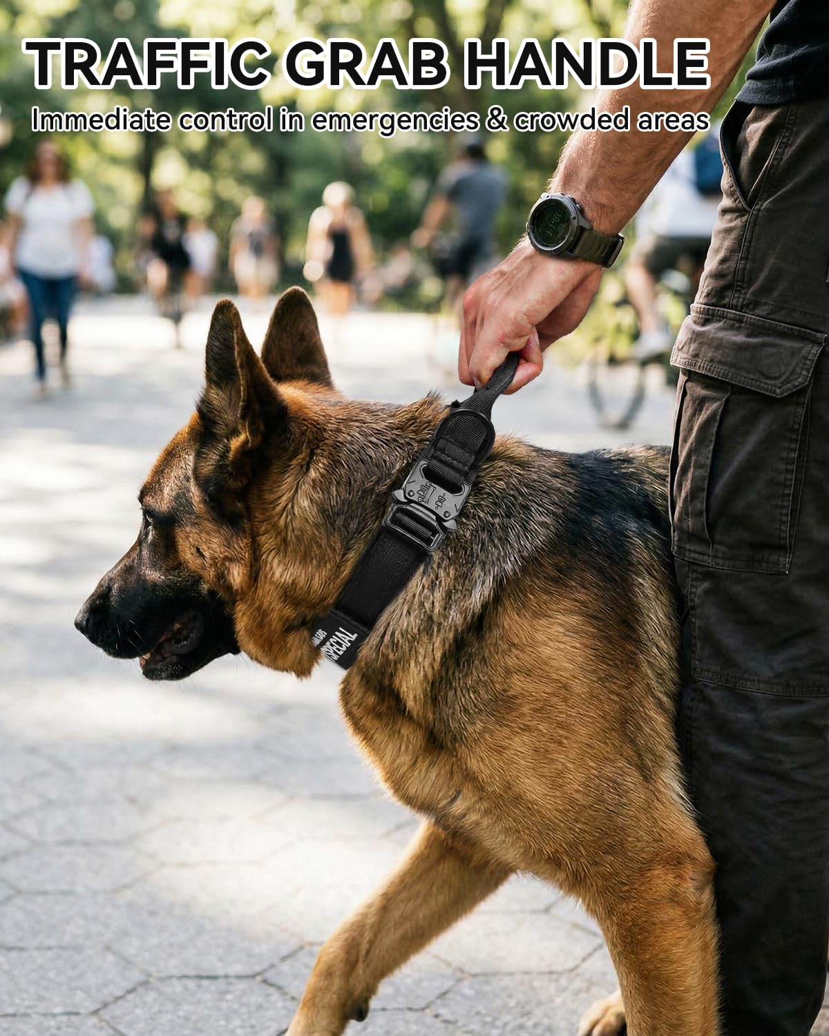 Joytale heavy-duty collar with metal buckle withstands energetic pulls during training.