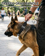 Joytale heavy-duty collar with metal buckle withstands energetic pulls during training.