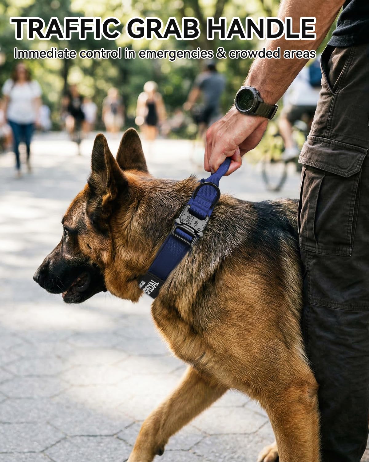 Joytale heavy-duty nylon strap highlights durability for strong dogs during training sessions.