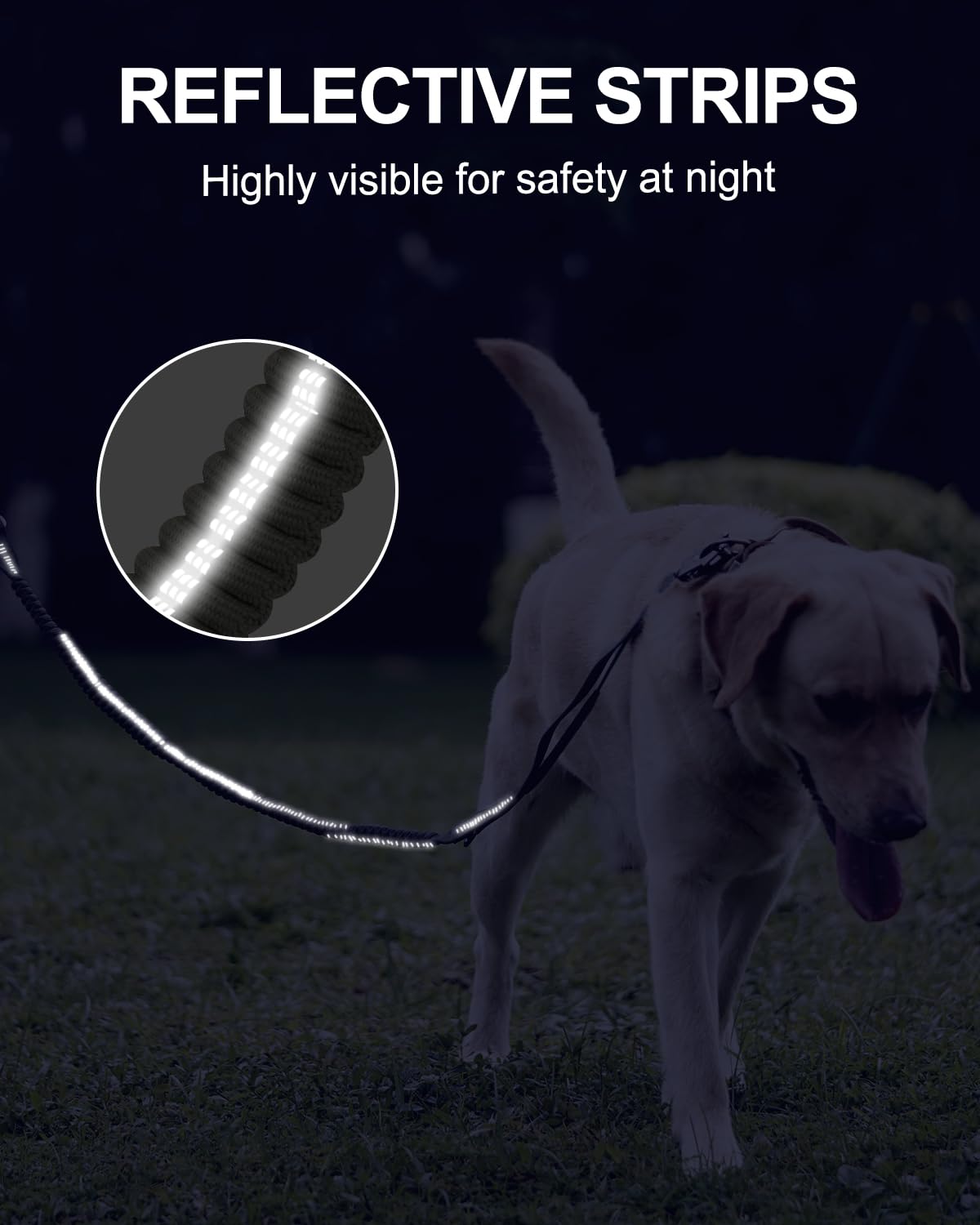Joytale Leash built from high-density nylon for strength up to 200 lbs.