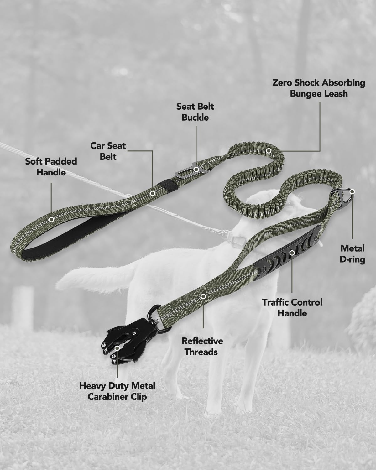 Joytale Leash includes a D-ring for accessories like poop bags or keys.