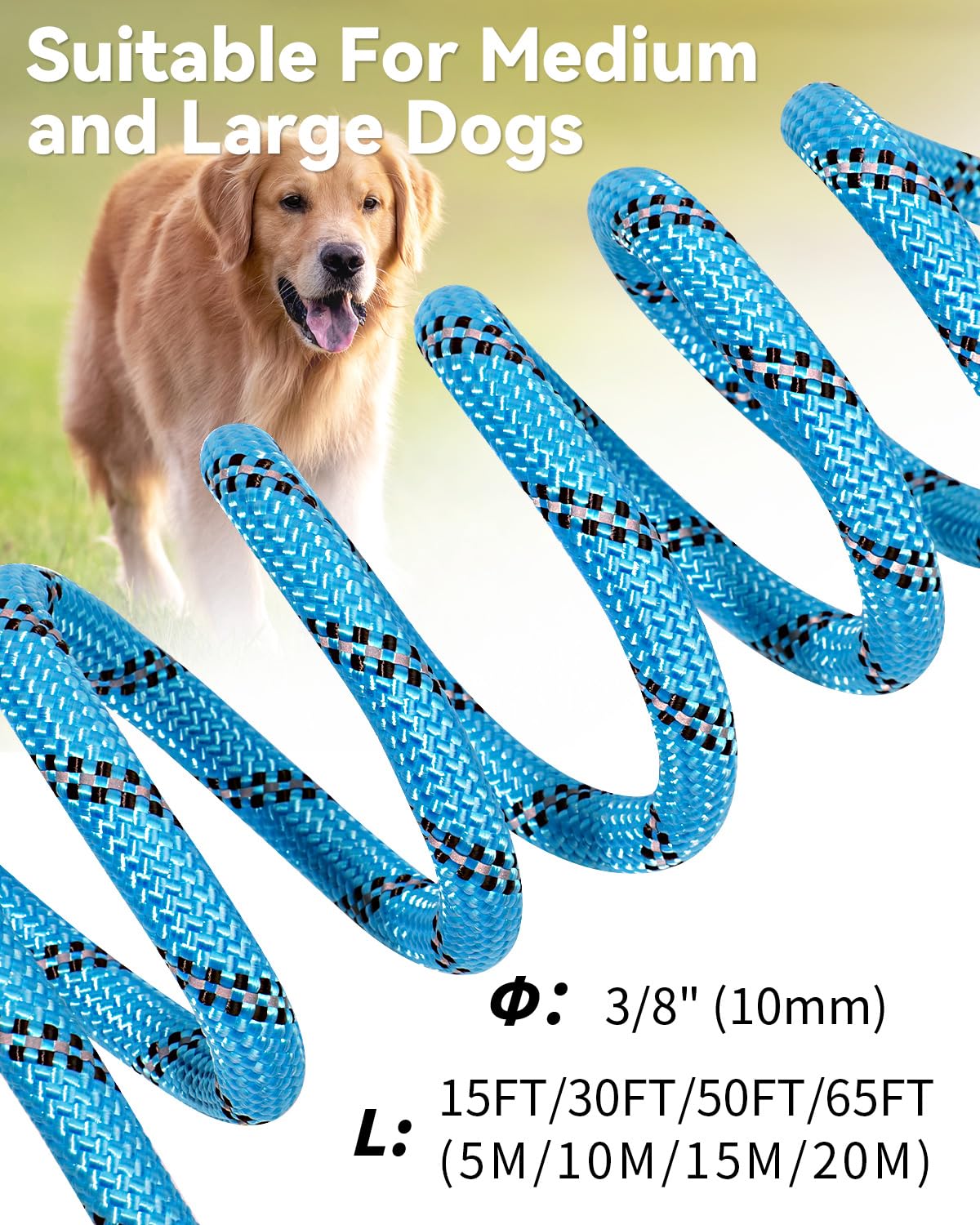 Joytale long leash features 360 anti-tangle design for smooth movement.
