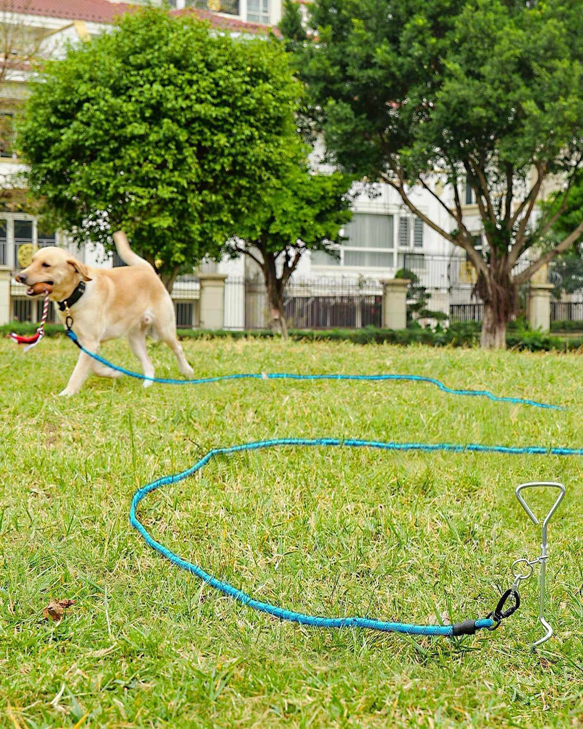 Joytale long leash in blue for large and medium dogs.
