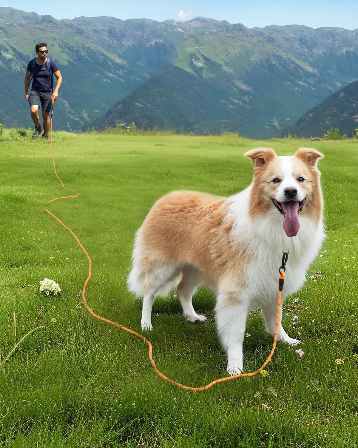 Joytale Long Leash durable climbing rope for lasting outdoor performance.