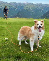 Joytale Long Leash durable climbing rope for lasting outdoor performance.