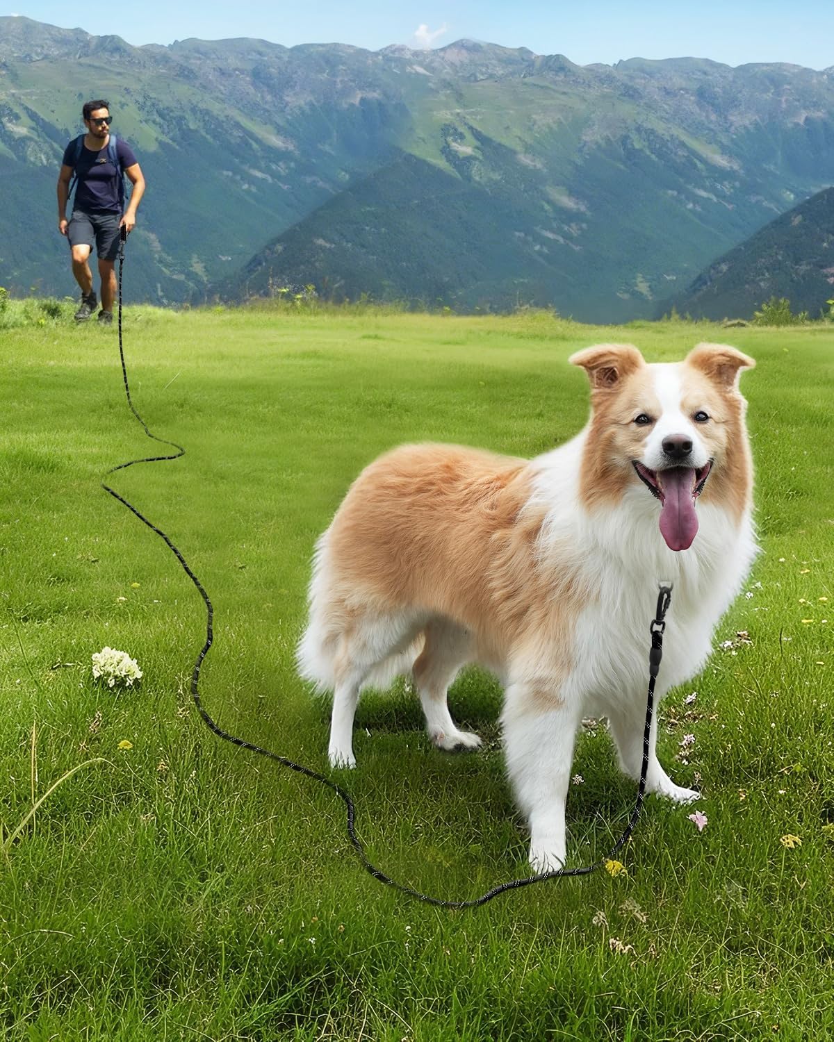 Joytale Long Leash uses high-strength climbing rope for durable outdoor exploration.