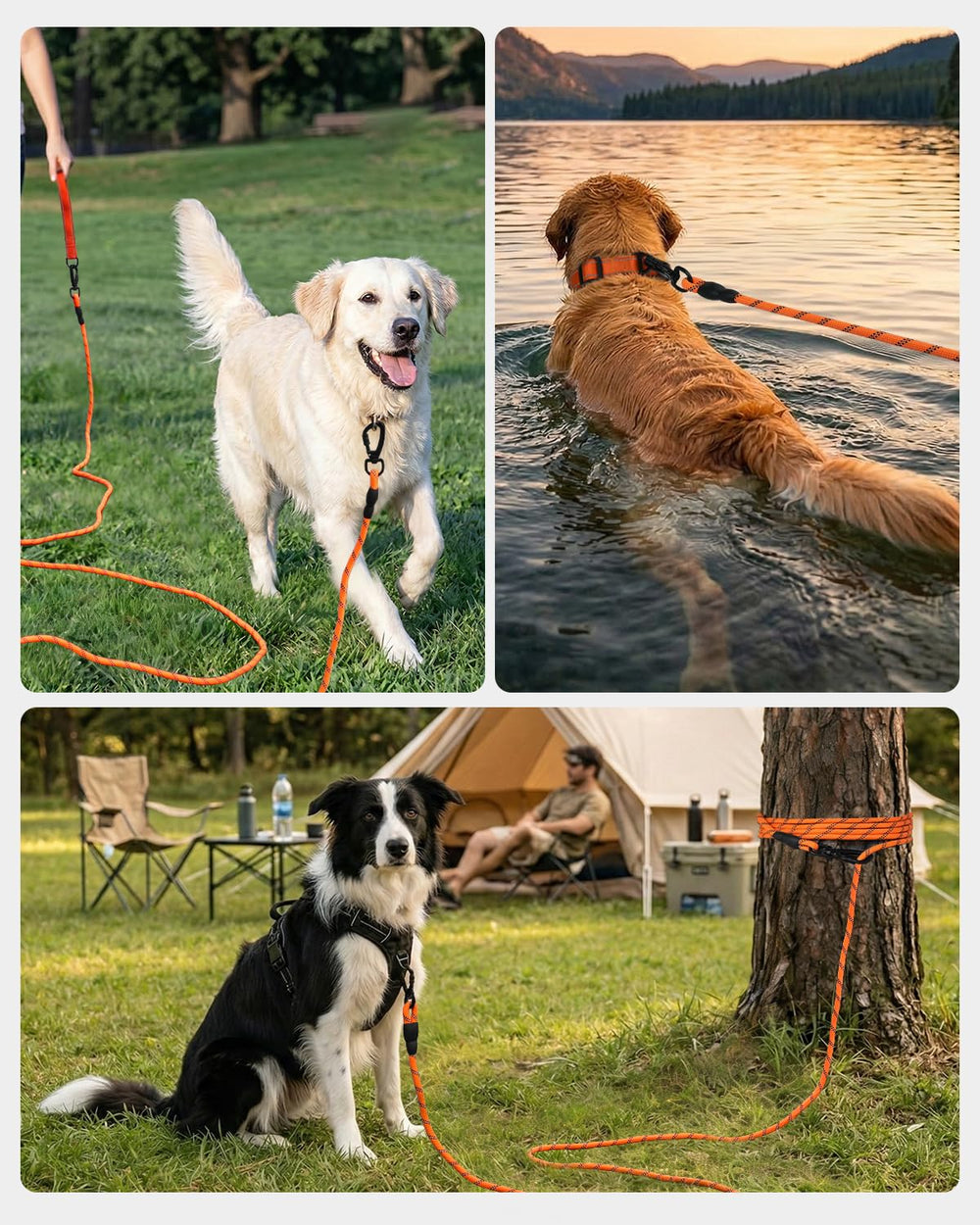 Joytale Long Leash ideal for yard and beach outings with flexible play.