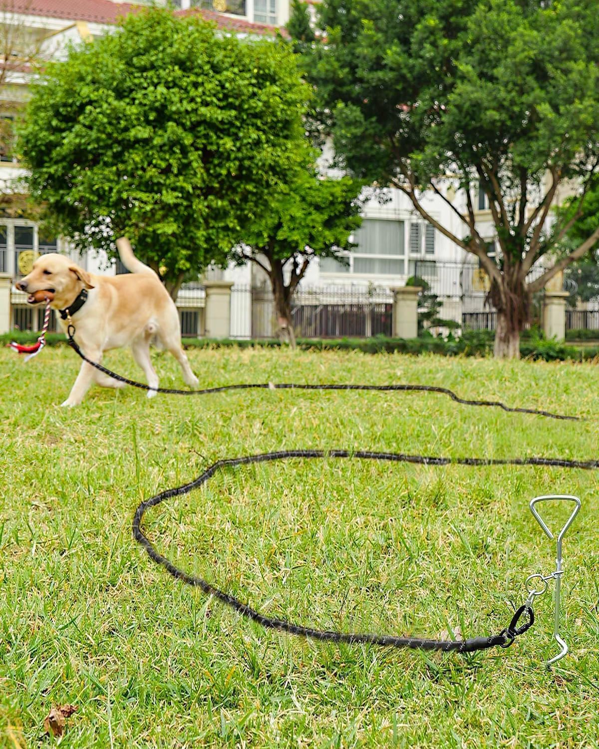 Joytale Long Leash provides control for large and medium dogs across settings.